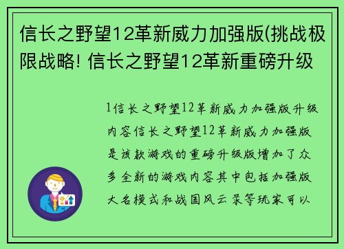 信长之野望12革新威力加强版(挑战极限战略! 信长之野望12革新重磅升级)